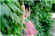 天启异闻录在线观看
